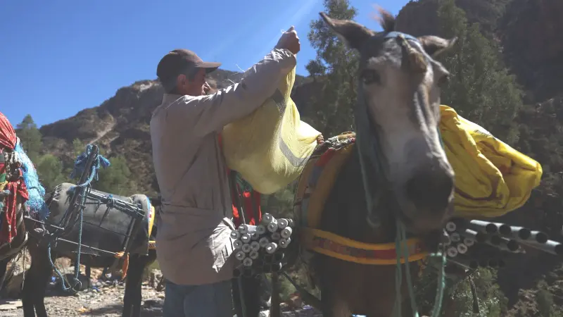 صور - مغاربة يلجأون إلى الحمير لنقل الإمدادات للقرى المعزولة