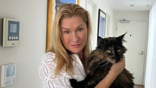 قطة تقوم بـ3 رحلات بين نيوزيلندا وأستراليا خلال 24 ساعة