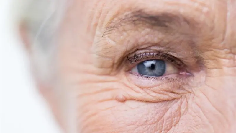 دراسة: ملامح الوجه تتنبأ بصحة الدماغ ومستقبل الإدراك