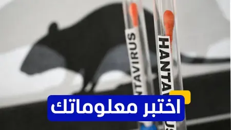 related_news_inside_blogsاختبر معلوماتك - كيف يمكن أن يصاب الإنسان بفيروس هانتا؟