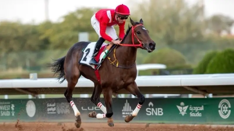 جوائز كأس السعودية للخيل 2026.. النسخة الأغلى عالميا