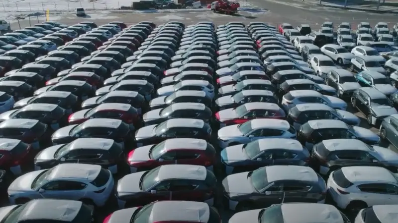 خطوات التسجيل في مبادرة سيارات المصريين بالخارج 2025