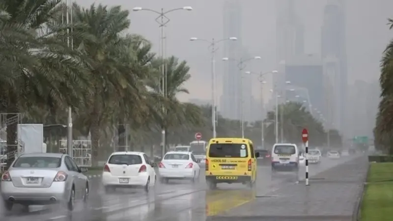 متى يبدأ موسم الشبط؟ هذا ما نعرفه عنه