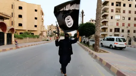 related_news_inside_blogsمسؤول أميركي يحذر من ظهور جيل جديد لـ"داعش"