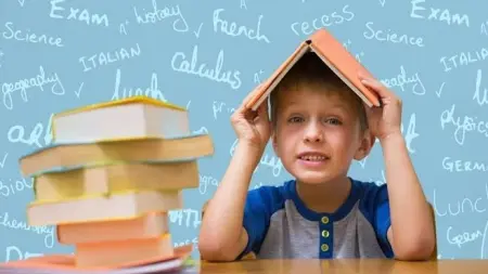 related_news_inside_blogsلنحو 13 عاما.. دراسة تكشف: تعلم لغة أخرى يبطئ شيخوخة الدماغ