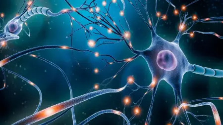 related_news_inside_blogsجزيئات جديدة تفتح الأمل لعلاج باركنسون من جذوره