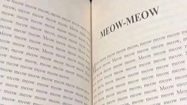 فيديو - رواية "مياو" تثير جدلا على منصات التواصل الاجتماعي