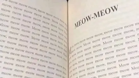 فيديو - رواية "مياو" تثير جدلا على منصات التواصل الاجتماعي