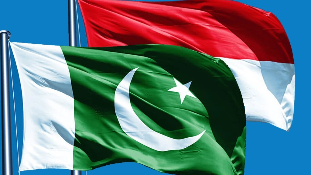 صفقة دفاعية مرتقبة بين باكستان وإندونيسيا 