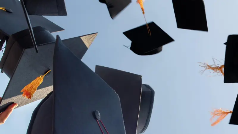 خطوات الاستعلام عن النتيجة عبر بوابة الأزهر الشريف برقم الجلوس