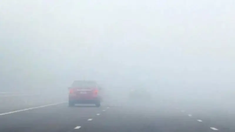 مصر.. كل التفاصيل عن حالة الطقس اليوم الخميس 25 ديسمبر 2025