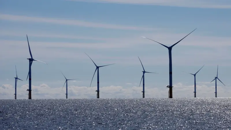 ما مفهوم الاقتصاد الأزرق؟ استدامة النمو والابتكار في البحر