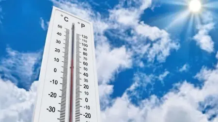 related_news_inside_blogsتفاصيل الطقس غدًا في مصر.. شبورة مائية ورياح نشطة وأجواء متقلبة