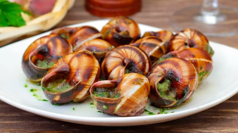 سرقة "حلزون" بقيمة 100 ألف دولار تُثير جدلا في فرنسا