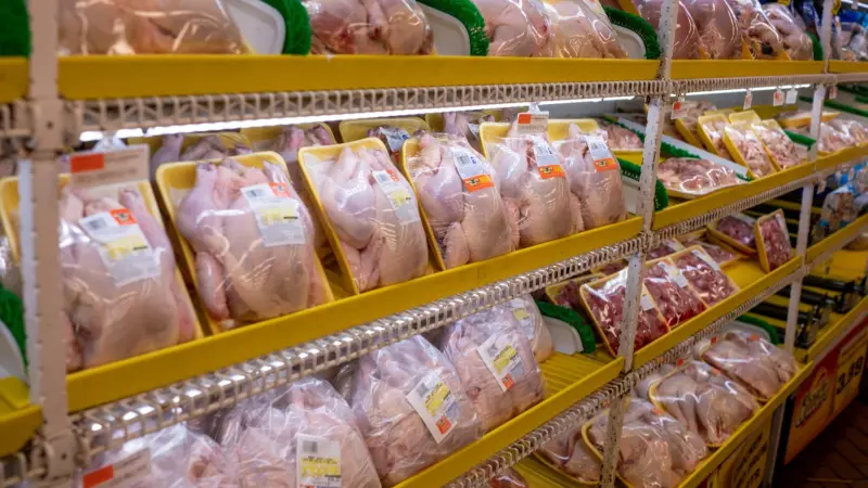 أميركا تفرض قيودا على واردات الدواجن الفرنسية