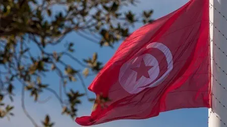 من هو منذر بلعيد وزير التعليم العالي الجديد في تونس؟