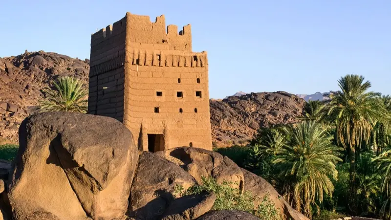 جريمة قتل في نجران تهزّ الشارع السعودي