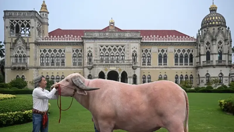 تايلاند تقترب من تفادي الرسوم الأميركية.. اتفاق تجاري وشيك