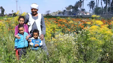 related_news_inside_blogsموعد صرف تكافل وكرامة مايو 2026.. خطوات الاستعلام والشروط