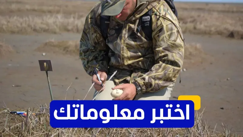 اختبر معلوماتك - ما هي أهم طرق الوقاية من مرض طاعون الدجاج؟