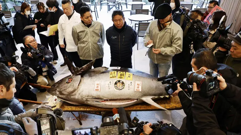 بيع سمكة تونة بـ1.34 مليون دولار.. ما القصة؟