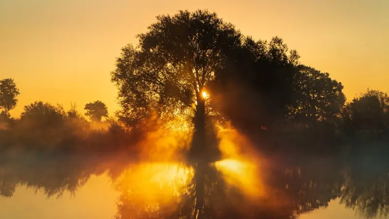 أرقام قياسية جديدة.. 2025 ثاني أكثر الأعوام حرارة في التاريخ