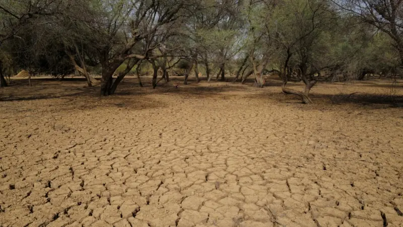 علماء: 2024 قد يكون العام الأكثر سخونة