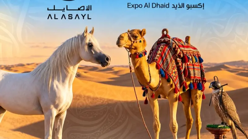مستلزمات الخيل والإبل والصقور في مكان واحد.. "الأصايل 2026" ينطلق بالشارقة