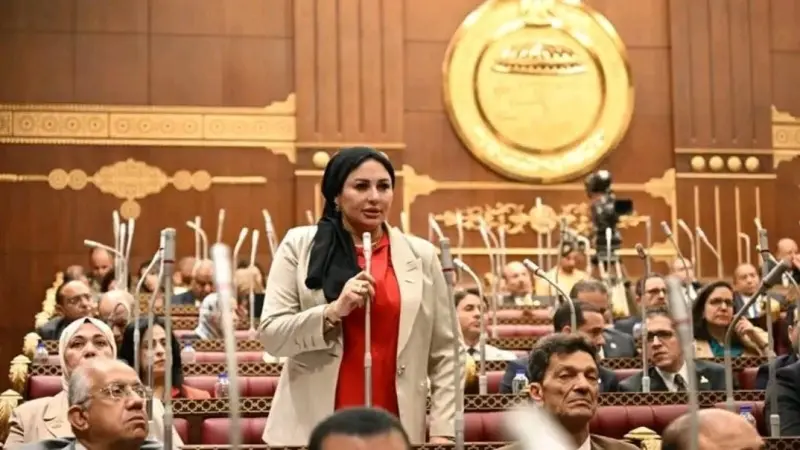 اقتراح برلماني لتحويل ربة منزل إلى صانعة جيل في بطاقة الرقم القومي