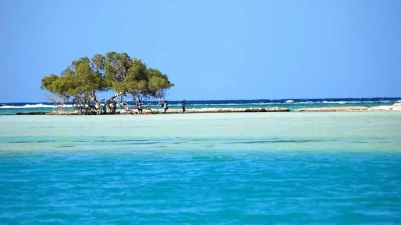 خبراء البيئة يحذرون من تهديدات تطال شاطئ حنكوراب في مصر بسبب أعمال التطوير السياحي