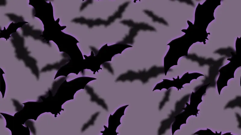 فيروس نيباه يشغل العالم.. لا علاج له ولا لقاح