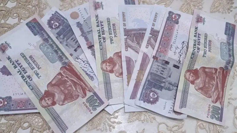 زيادة الحد الأدنى للأجور في مصر.. 2026 موعد التطبيق الرسمي للدرجات الوظيفية