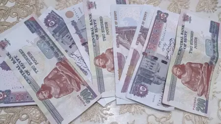 related_news_inside_blogsزيادة الحد الأدنى للأجور في مصر.. 2026 موعد التطبيق الرسمي للدرجات الوظيفية