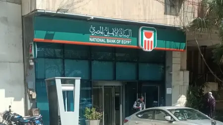 سعر الدولار مقابل الجنيه المصري يرتفع قبل حسم الفائدة
