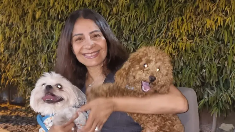 أشهر أعمال عفاف مصطفى.. فنانة مصرية تنضم إلى طابور العاطلين