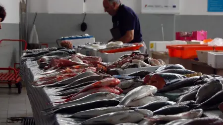 related_news_inside_blogsروسيا تعلن زيادة حد الصيد في المغرب لـ100 ألف طن