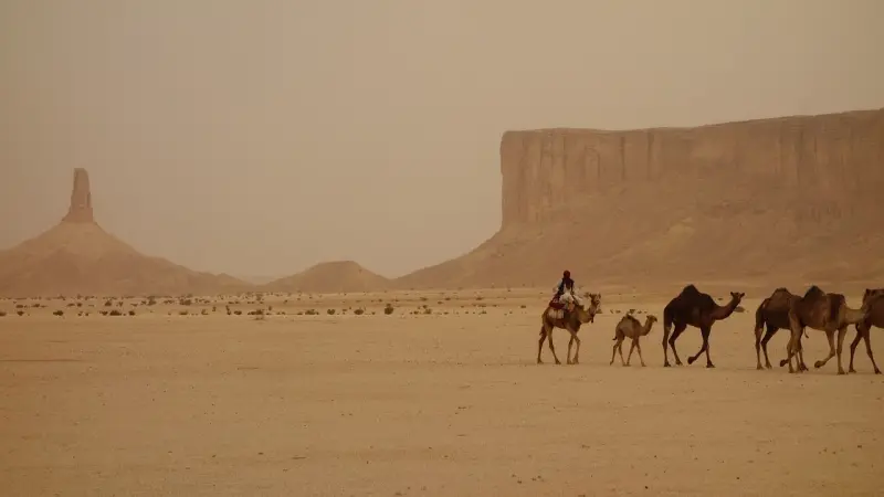 هزة أرضية في حائل والقصيم بالسعودية.. ما سببها؟