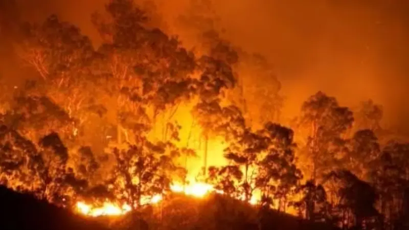 أسباب الحرائق في المغرب.. الدرك يفتح تحقيقا