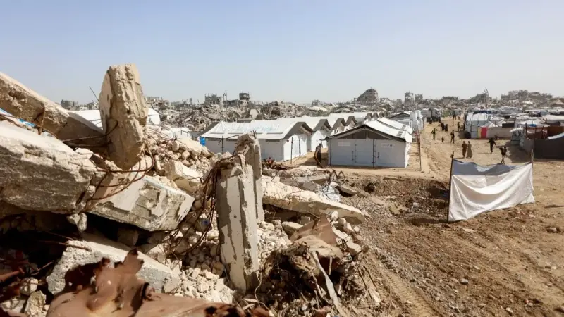 غزو شامل.. القوارض والحشرات تُفاقم معاناة النازحين في غزة