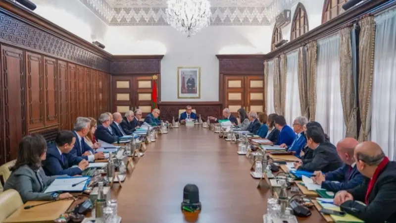 من هي هدى ناسك؟ تعيين مهم بقطاع التعليم في المغرب