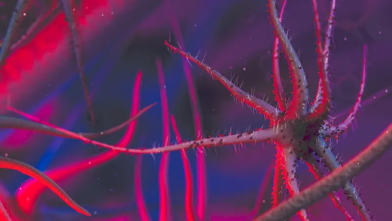 كيف تحقن بكتيريا الأمعاء بروتيناتها داخل خلايانا؟