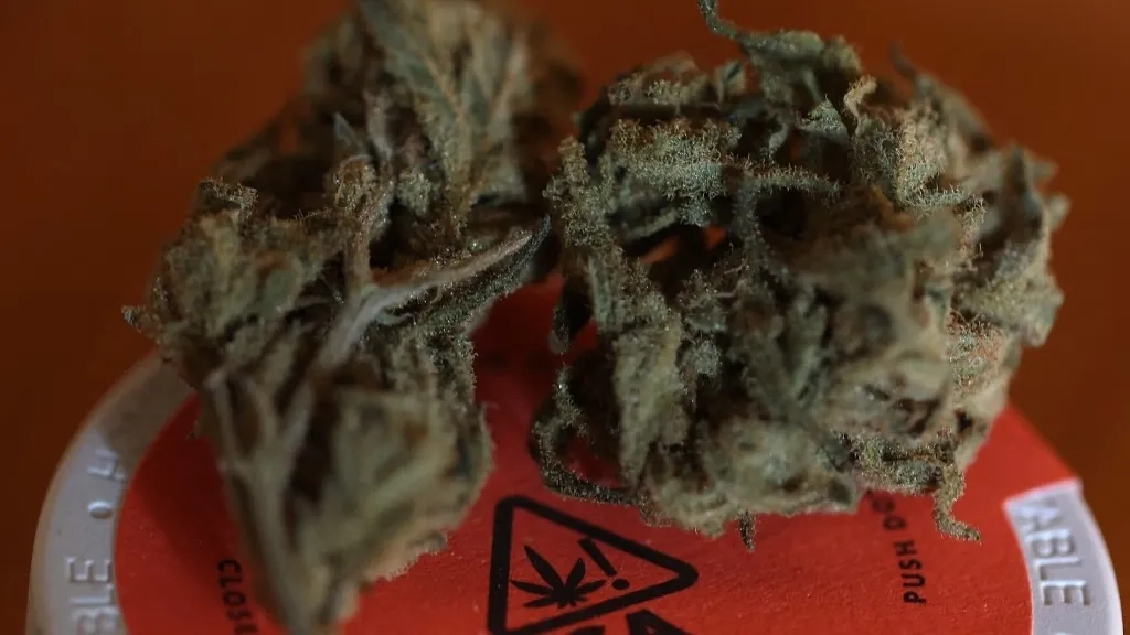 ترامب يتجه إلى تصنيف الماريغوانا كمخدر أقل خطورة 