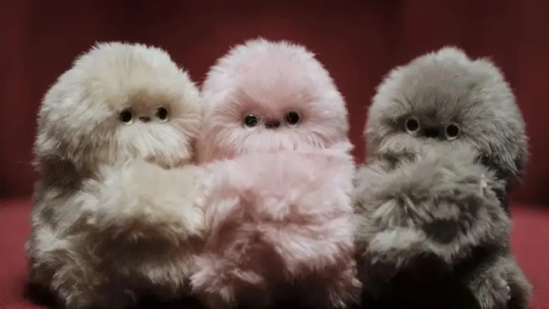 ما هي "ميرومي" بديل لابوبو؟ كل ما تريد معرفته عن الترند الجديد