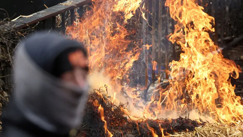 رغم الاحتجاجات.. الاتحاد الأوروبي يحقّق فائضا في صادرات الزراعة
