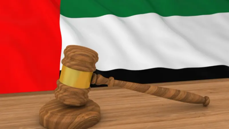 الإمارات.. تفاصيل الأحكام الصادرة ضد "عصابة بهلول"