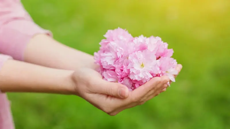 حساسية الربيع.. كيف يمكن علاجها؟