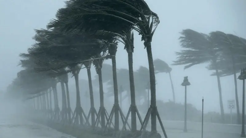 وزارة التربية تقرر تعليق الدراسة في الجزائر بسبب الأحوال الجوية