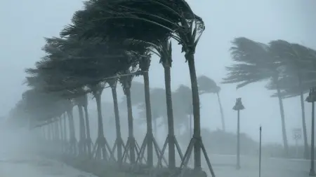 related_news_inside_blogsوزارة التربية تقرر تعليق الدراسة في الجزائر بسبب الأحوال الجوية