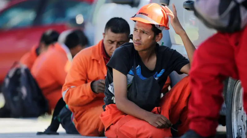 صرف منحة العمالة غير المنتظمة.. 355 مليون جنيه للعمال المسجلين