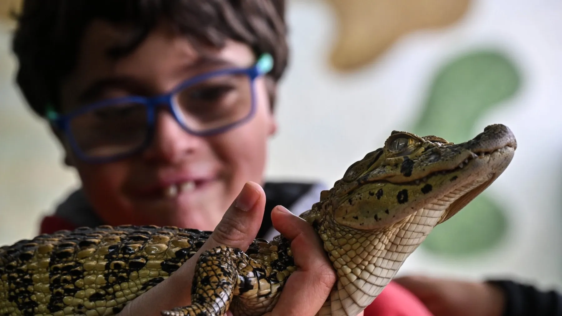 دراسة جديدة تكشف عن 4 أنواع مميزة للتوحد.. تعرف إليهم 